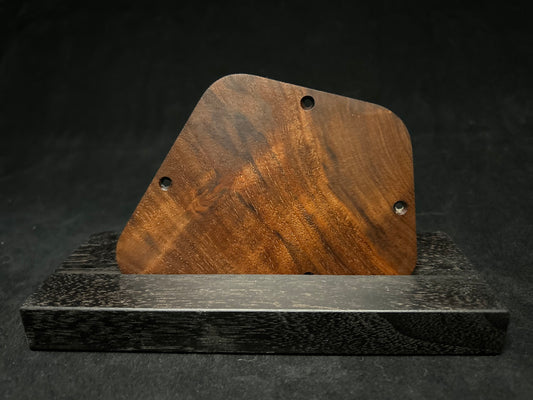 Gibson Firebird Control Plate