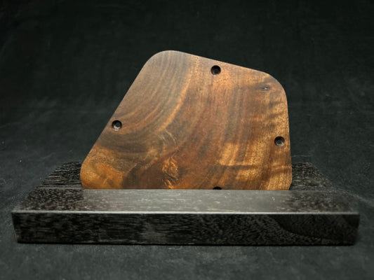 Gibson Firebird Control Plate