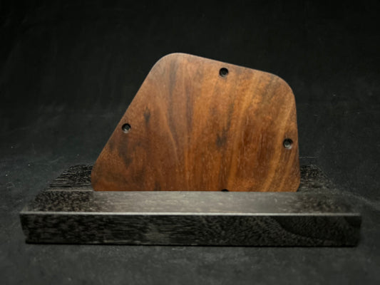 Gibson Firebird Control Plate
