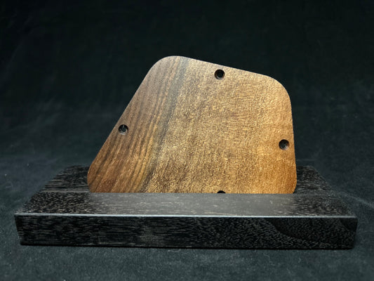 Gibson Firebird Control Plate