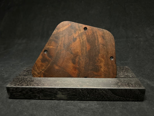 Gibson Firebird Control Plate
