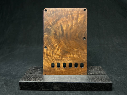 Fender Stratocaster Tremelo Plate