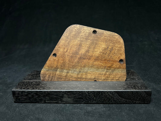 Gibson Firebird Control Plate